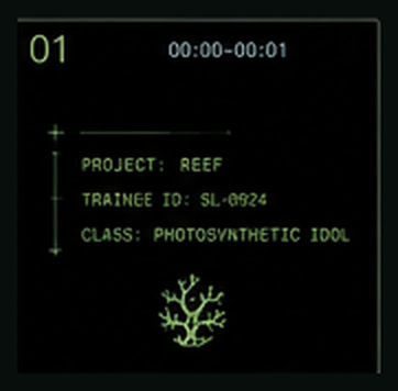 System boot teaser frame